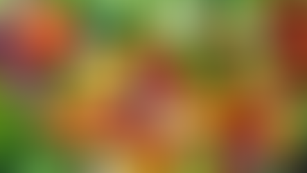 Join the 30 Plants a Week Challenge for a Happier, Healthier You!