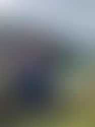 Nina – Healthier Than Ever Through Walking 🚶‍♀️💚