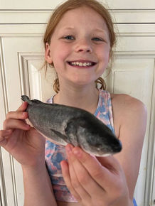 Fresh Fish – For Better Mood, Behaviour, and Health 🐟✨