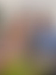 Family Cooking at the Recreation