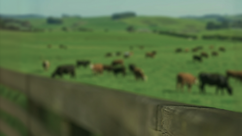 Untitled.png