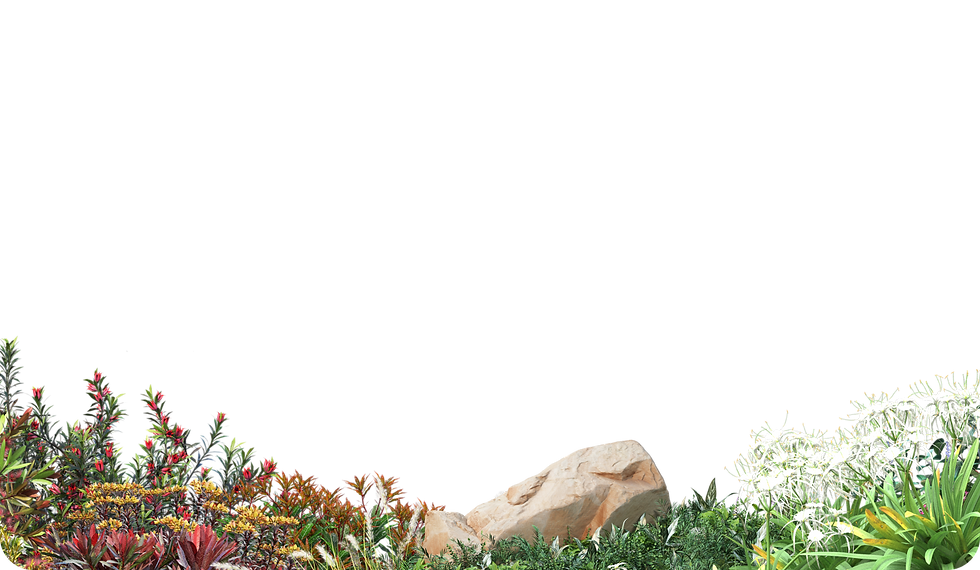 Kiuora Ingredients.png