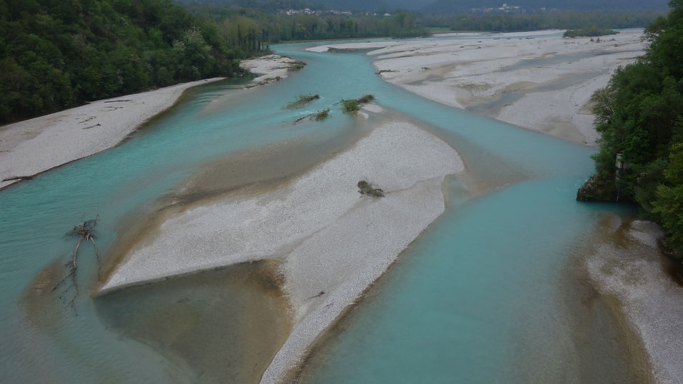 Als größtes naturnahes Flusssystem Europas fließt der Tagliamento weitgehend ungezähmt auf 172 km von der Quelle im Veneto, durch die Carnia, bis zur Mündung bei Bibione und Lignano in die Adria. Autor Werner Freudenberger schrieb mit seinem Buch eine Hommage an den „König der Alpenflüsse“, der reich an faszinierenden und außergewöhnlichen Szenarien ist. Die archaische Landschaft, die wilde und ungezähmte Natur im Bereich des Flusses sowie die einmaligen Kultur- und Naturdenkmäler im Nahbereich ziehen jeden in den Bann, der sich ihnen aufmerksam nähert. Diese Exkursion widmet sich der hinreißenden Landschaft an den Ufern des südlichen Tagliamento ab seinem Eintreten in die friulanische Ebene. Durch fantastische Wildnis, idyllische Orte, vorbei an ursprünglichen Kulturgütern geht es weiter in den Süden, bis der majestätische Fluss schließlich in voller Imposanz in die Adria mündet.   