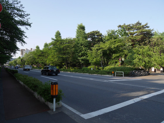 東京屋敷林ネットワーク見学会