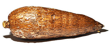 440px-Manihot_esculenta_001.jpg