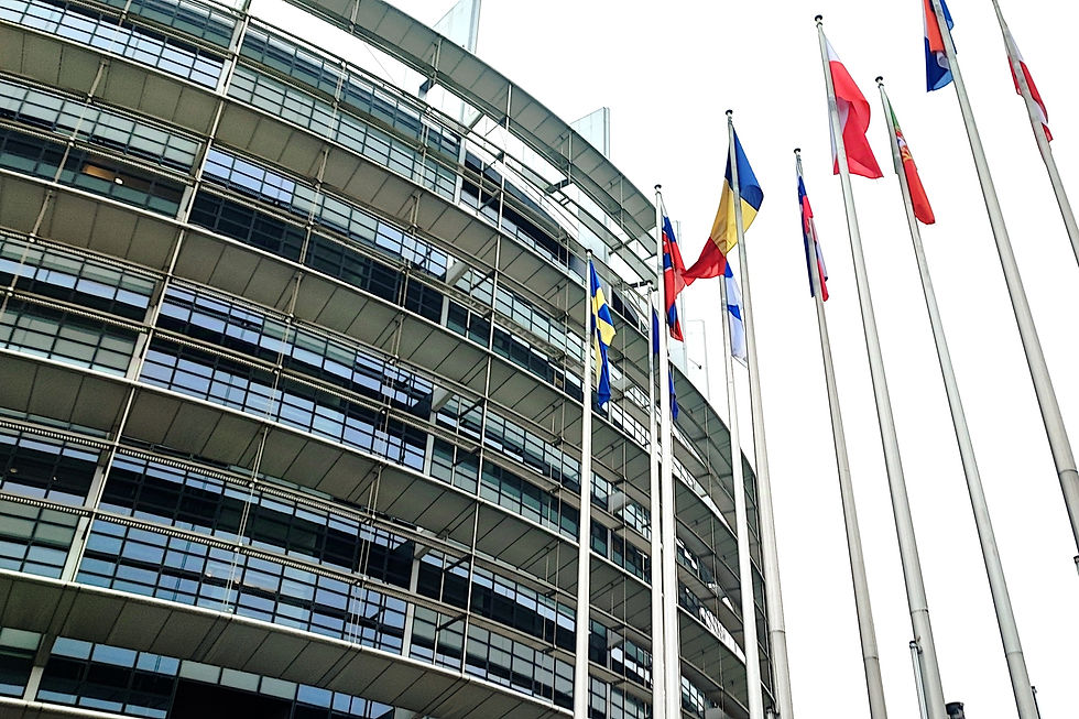 JALABERT AVOCAT au Parlement Européen : Les États Généraux de la Propriété Intellectuelle aux 60 ans du CEIPI Avocat propriété intellectuelle Marseille, Droit des marques, des brevets, des dessins et modèles, Droit d'auteur.