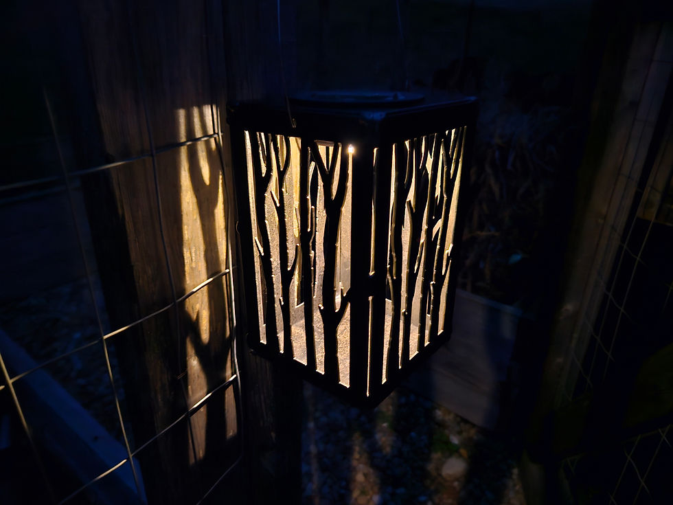 Thumbnail: Hanging Birch Tree Solar Luminary Garden Lantern
