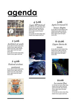 agenda portfolio2