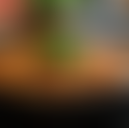 5 Budget-Friendly Cooking Hacks for Busy High School Students