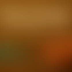 The Future of African Food: Why Authentic Brands Like Olu Olu Matter