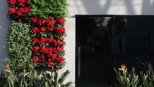 BENEFIT FOR iACT’S REFUGEE-LED EDUCATION AND MEAL PROGRAMS HOSTED BY DIRTT ENVIRONMENTAL SOLUTIONS