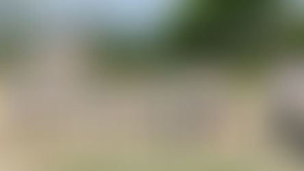 Mindfulness and Soccer in Armenia