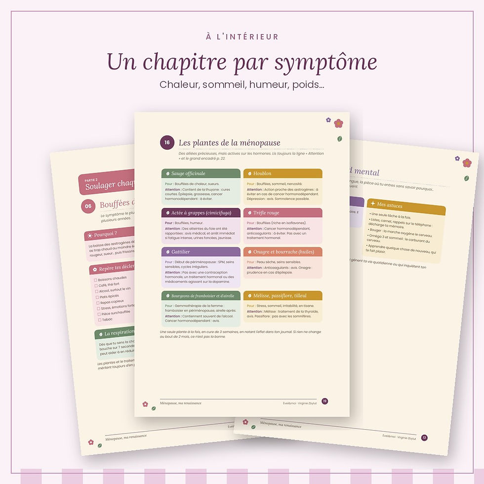 Couverture de l’ebook Ménopause, ma renaissance de Virginie Zbylut, Éveil&moi