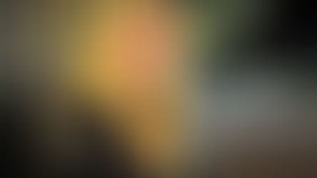 Meet the new summer team members: Anna and Michael