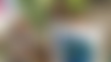 Empathy Can End Mass Atrocities, Part I: How early childhood education creates a generation of empat