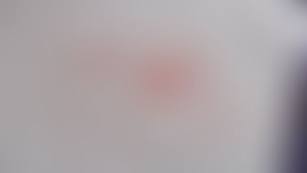 A story about some dogs, by Adam, as retold by Felicia