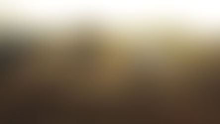 With the Help of South Bay Supporters, a Soccer Team in Darfur Takes the World Stage with Life-chang