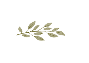 DINNER FLYER - SML (1).png