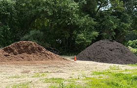 Mulch_edited.jpg