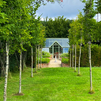 View through the pleached tree avenue towards the kitchen garden