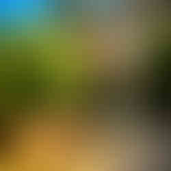 Pathway leading from the rear terrace to the front courtyard