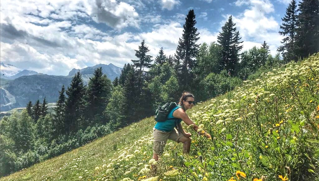 Foraging for herbs