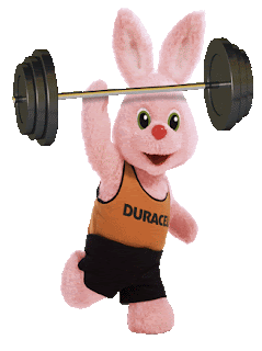 Mascote da Duracel