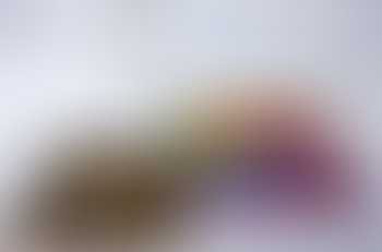 アスワン 「シルクロード手織絨毯展」全国で開催