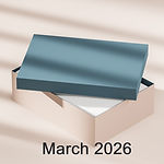 Fancy gift Box_edited.jpg