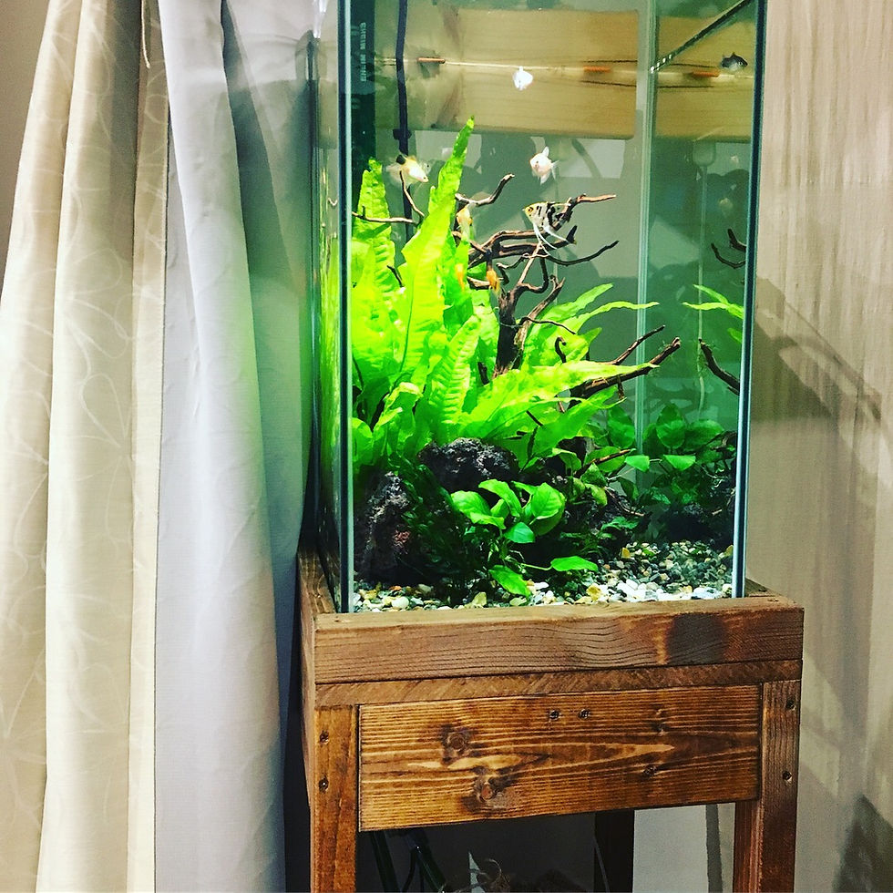 リラクゼーション