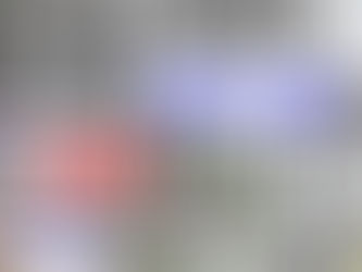 2018년 매주수요일 휴무합니다.