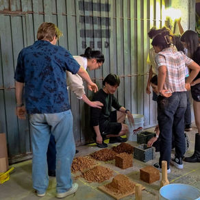 RAÍZ ARQUITECTURA | SEED