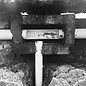 7IMG_6659 B-N.jpg