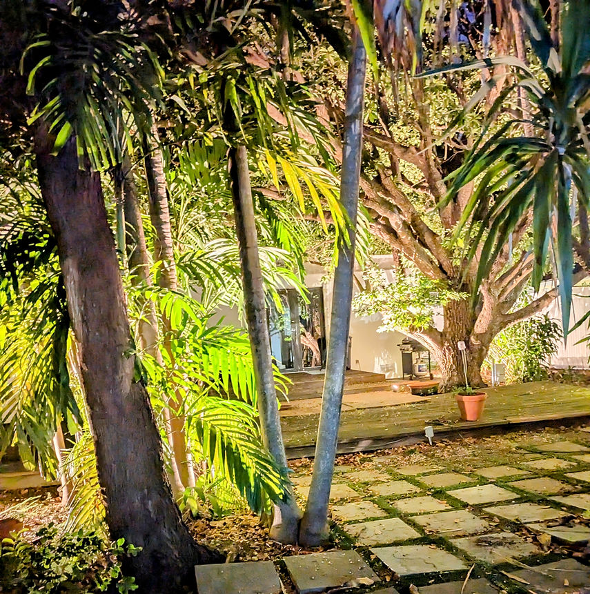 backyard.jpg