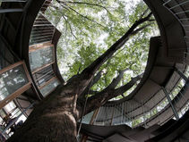 Les salariés doivent être au cœur de la transformation écologique de leur entreprise 
