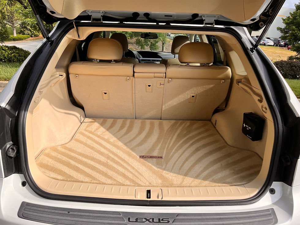 interior car detailing