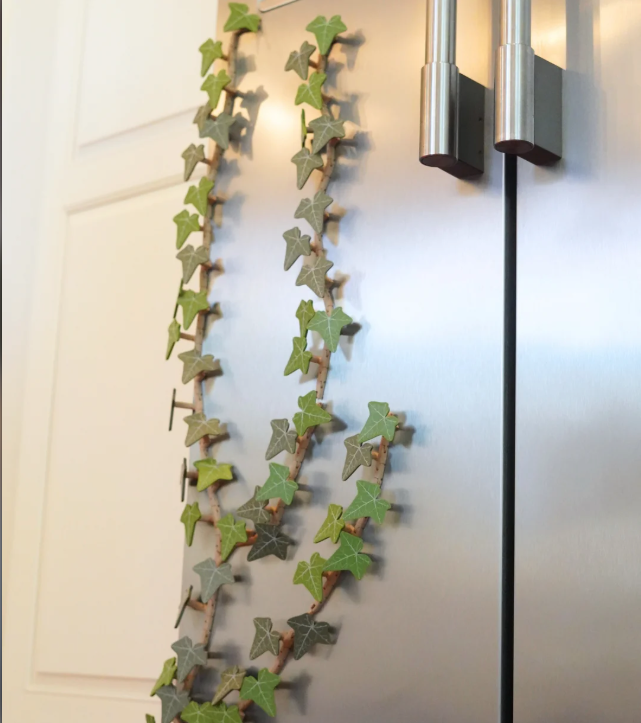 Thumbnail: Magnet Ivy