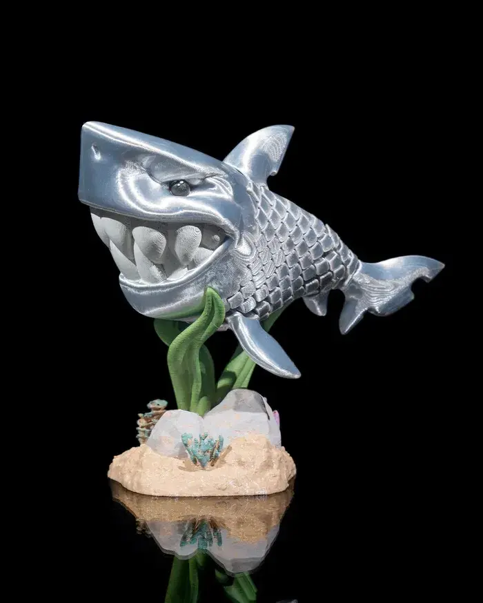Travis_the_White_Shark_1_e371a022e6