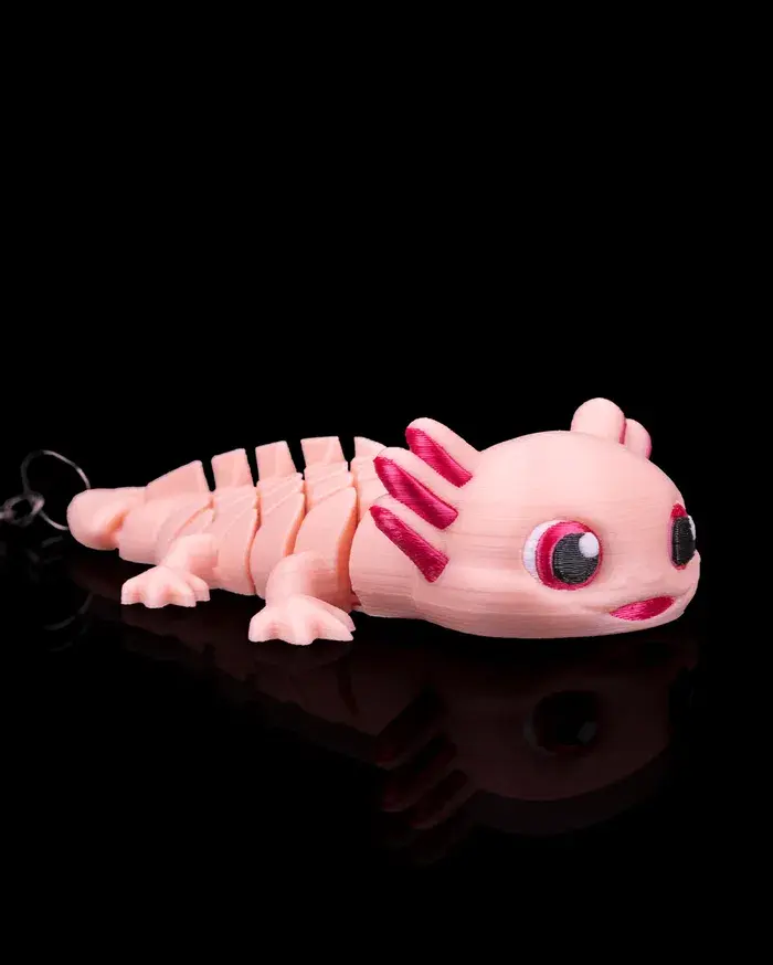 Ashley_the_Axolotl_1_4af8cdf57b