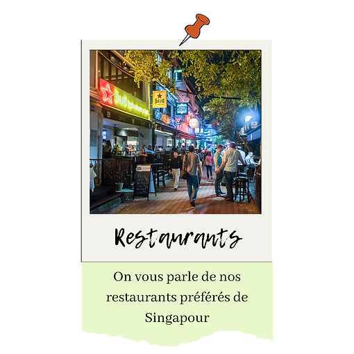 restos Singapour.png