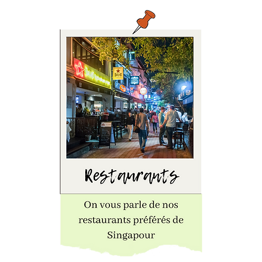 restos Singapour.png