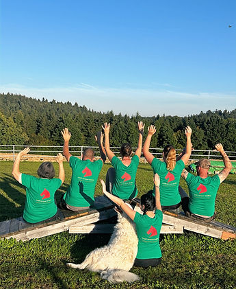 Team Hände hoch_edited.jpg