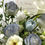 縮圖：Bespoke. Blue and white
