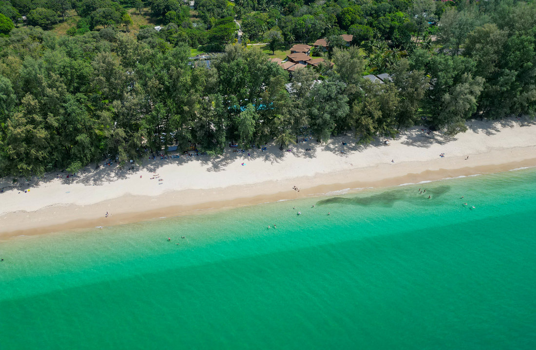 Aerial view of the estate between gardens and the sea