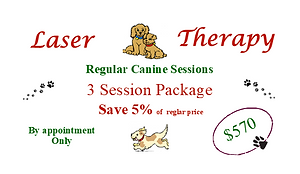 3 session Coupon 5%.png