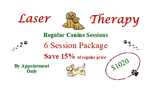 6 session Coupon 15%.png
