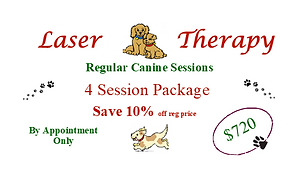 4 session Coupon 10%.png