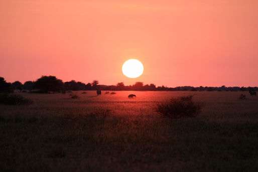 Zwischenstopp Nxai Pan