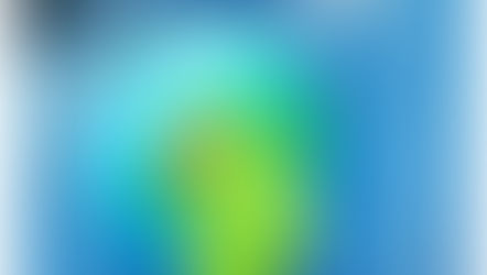 המדריך למילון Lingoes החינמי