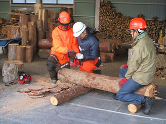 IMG_6984.JPG_登録者_20191214